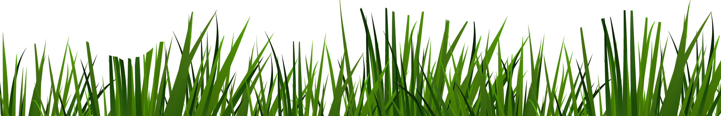 grass